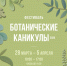 2026каникулывесна.jpg - Культура Петербурга