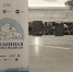 В Санкт-Петербурге проходит форум «Вселенная белого медведя» - Spbdnevnik.ru