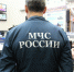 В Ломоносовском районе Ленобласти в пожаре погиб человек - Spbdnevnik.ru