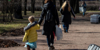 В Ленобласти 29 марта будет сухо и тепло - Spbdnevnik.ru