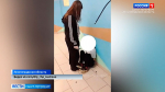Следователи изучают видео с издевательствами над детьми в посёлке имени Свердлова