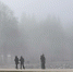 Петербуржцы гуляют в густом тумане с минимальной видимостью - Neva.Today