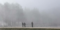 Петербуржцы гуляют в густом тумане с минимальной видимостью - Neva.Today