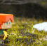 Украинские аферисты вербуют детей в Minecraft - Neva.Today