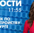 Новости Петербурга к 11:55 - tvspb.ru - ТК Санкт-Петербург