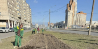 Весеннее преображение Фрунзенского района: подготовка зеленых насаждений к новому вегетационному периоду - Фрунзенский район