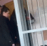 В Петербурге суд отправил водителя под домашний арест за смертельный наезд на ребенка - Spbdnevnik.ru