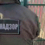 Росприроднадзор проверил хоспис «Дом тигра» в Ленобласти - Spbdnevnik.ru