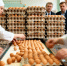 ФАС начала масштабную проверку ценообразования на яйца и молоко в магазинах - Peterburg2.Ru
