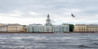 В Петербурге объявлен «желтый» уровень опасности из-за сильного ветра - Петербургский дневник