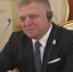 Фицо подтвердил, что приедет на празднование Дня Победы в Москву - Петербургский дневник