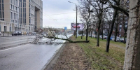 Фото: пресс-служба комитета по благоустройству - Мой район