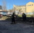 Сильный ветер повалил почти полсотни деревьев в Петербурге, повреждены 11 машин - Spbdnevnik.ru