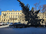 Фото: пресс-служба комитета по благоустройству Санкт‑Петербурга
