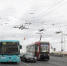 Автобусы Петербурга изменят работу в Пасхальные дни - Spbdnevnik.ru
