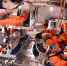Экипаж корабля Orion преодолел половину расстояния до Земли - ГАZЕТА.СПб