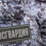 В Петербурге задержали мужчину, который избил женщину, а затем протащил ее за ноги по земле - Петербургский дневник
