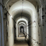 Источник фото: vk.com/bpiotrovsky - НИА Санкт-Петербург