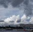 Жителей Петербурга предупредили о надвигающейся вони - Neva.Today