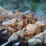 Фото: Pixabay - Мой район