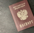 Жительница Ленобласти до 37 лет жила без паспорта как человек-невидимка - tvspb.ru - ТК Санкт-Петербург