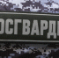 Росгвардия обеспечит безопасность в Петербурге во время сезона навигации - Петербургский дневник