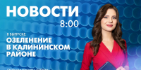 Новости Петербурга к 8:00 - tvspb.ru - ТК Санкт-Петербург