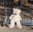 IMG_5146 - Peterburg-News.Ru
