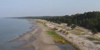 Власти Ленобласти и волонтеры спасли Кургальский полуостров от экологической катастрофы - Петербургский дневник