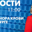 Новости Петербурга к 11:00 - tvspb.ru - ТК Санкт-Петербург