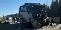 Водитель самосвала попал под уголовку после массового ДТП на трассе А-120 - Neva.Today