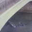 МВД показало видео ДТП с падением Citroen в Обводный канал - Neva.Today
