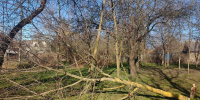 Фото: комитет по благоустройству - Мой район
