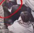 На станции «Чернышевская» в Петербурге ребенок получил травму на эскалаторе - Санкт-Петербург.ру