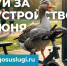 Стартовало голосование за объекты благоустройства: как россияне меняют свои города - Комитет по развитию туризма