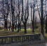 В Петербурге начался официальный день благоустройства - Петербургский дневник