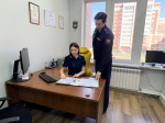 Спор о тени: как каштаны на даче в Петербурге привели соседа в суд