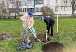 В Колпинском районе прошёл «Добрый субботник»