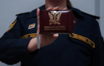 Электронная подача исполнительного листа — удобно и быстро | ФОТО предоставлено пресс-службой ГУФССП России по г. Санкт-Петербургу