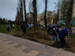 В общегородской День благоустройства в Кировском районе прошел Добрый субботник