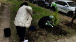 В общегородской День благоустройства в Кировском районе прошел Добрый субботник