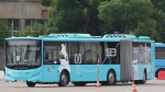 Транспорт Петербурга перейдет на праздничный график работы