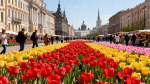 День России в Петербурге: традиции, история и новые смыслы праздника