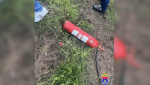В Петербурге иностранец попытался поджечь рельсовый автобус