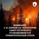 В Петербурге официально наступил пожароопасный сезон