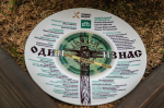 В Петербурге начались съёмки остросюжетного сериала «Один из нас» 2