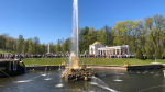 В Петергофском музее проконтролируют цены в кафе после жалоб гостей