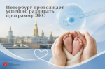 Петербург продолжает успешно развивать программу ЭКО рисунок