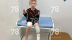 Во Всеволожском районе бультерьер набросился на 4-летнего мальчика