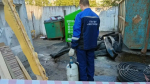 Почти 83 тонны опасных отходов собрали в Петербурге за неделю